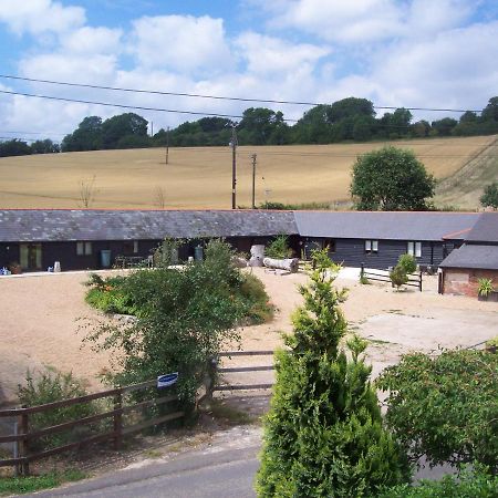 Five Cottages In Aonb And A Hobbit House! Canterbury Dış mekan fotoğraf